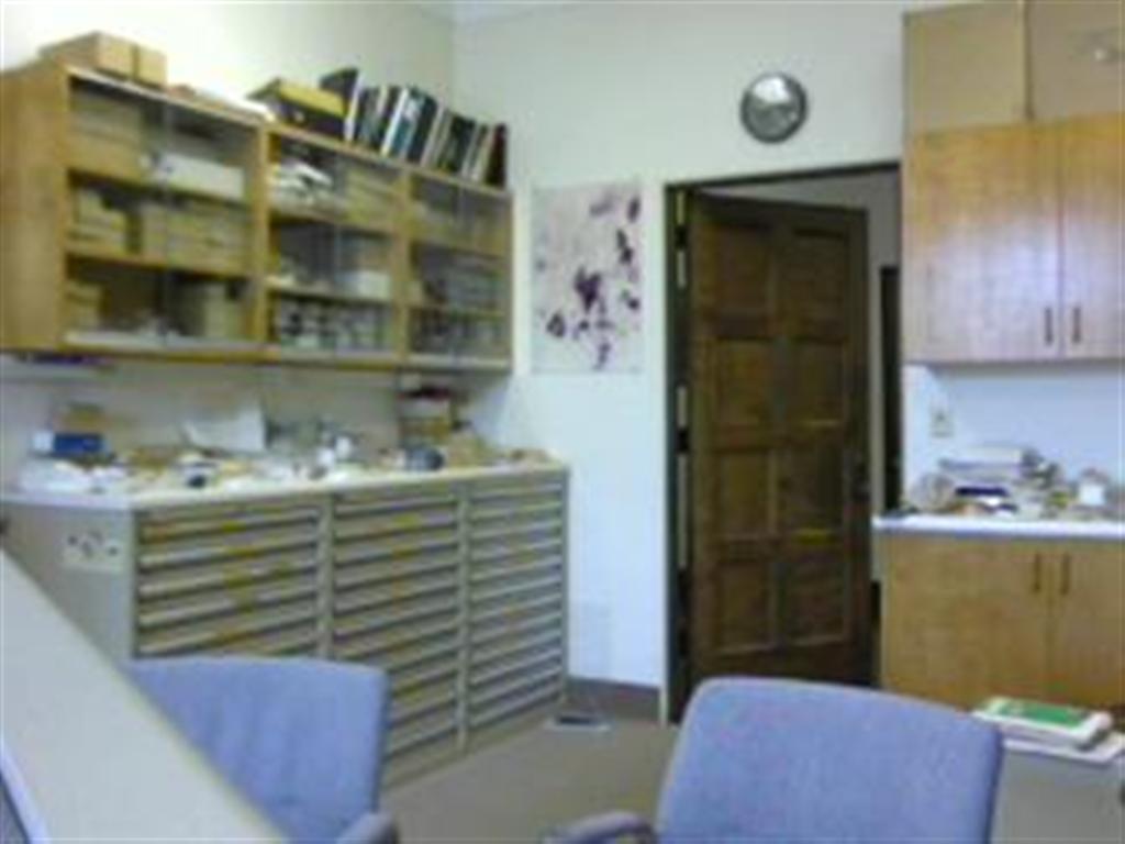 current office picture