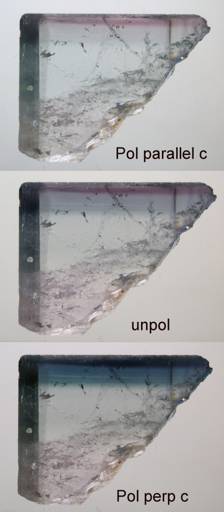 Polarizations